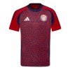 Maillot de Supporter Costa Rica Domicile 2024 Pour Homme